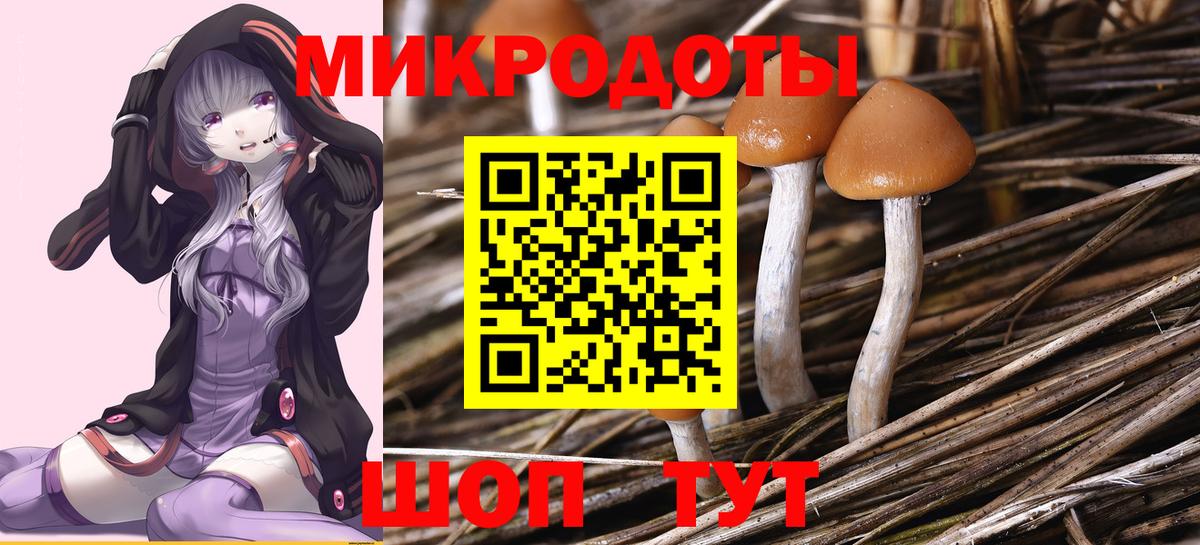 Псилоцибиновые грибы прущие грибы  Вход с VPN  Сарапул 