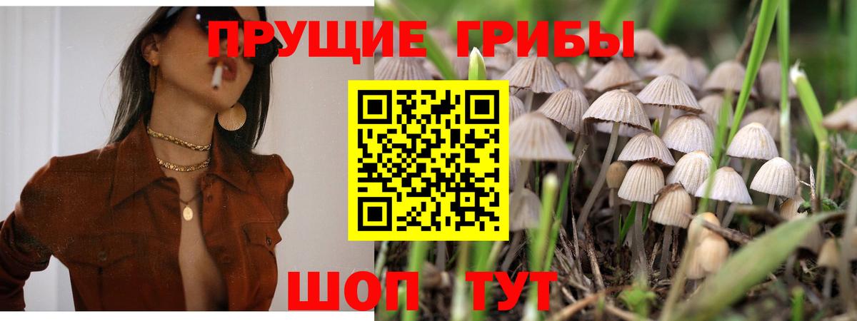 Галлюциногенные грибы ЛСД Сарапул
